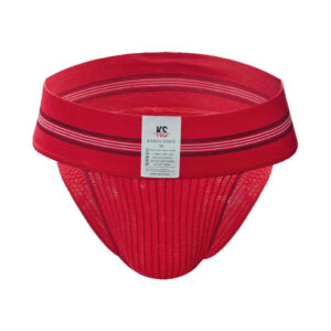 Men's Sexy Breathable Mesh Briefs