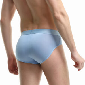 Men's Ice Silk U-Contour Briefs